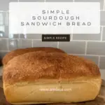 sourdough bread