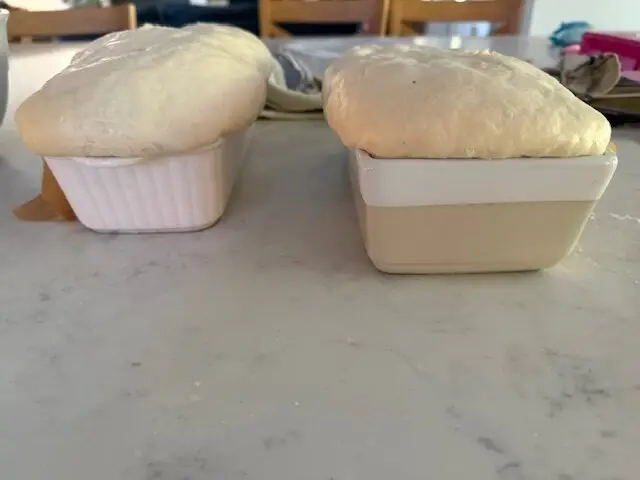 Sourdough Sandwich Bread www.annalce.com