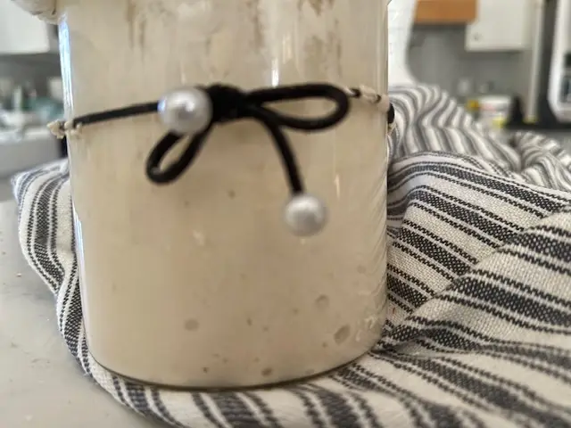 Sourdough Sandwich Bread www.annalce.com